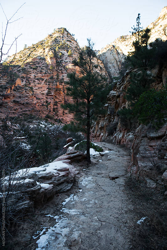 Hiking Trail with Red Rocks at Dusk