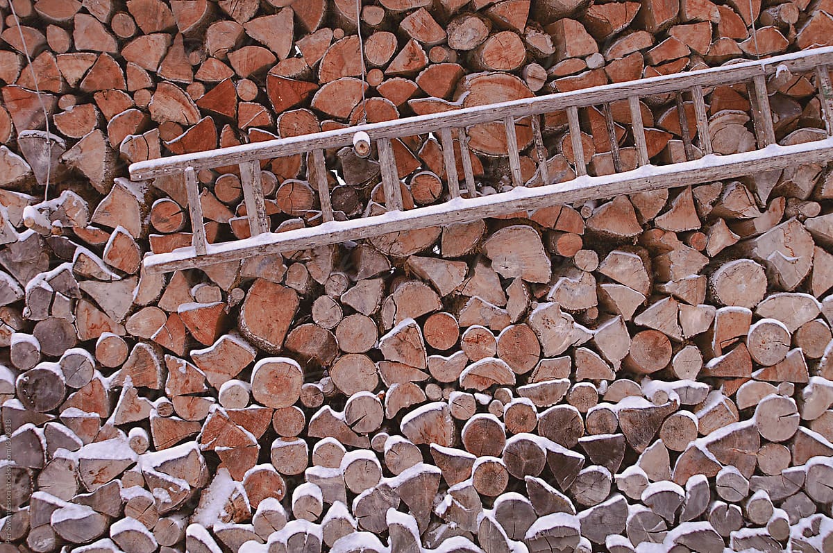 Neatly organized storehouse of firewood with snow
