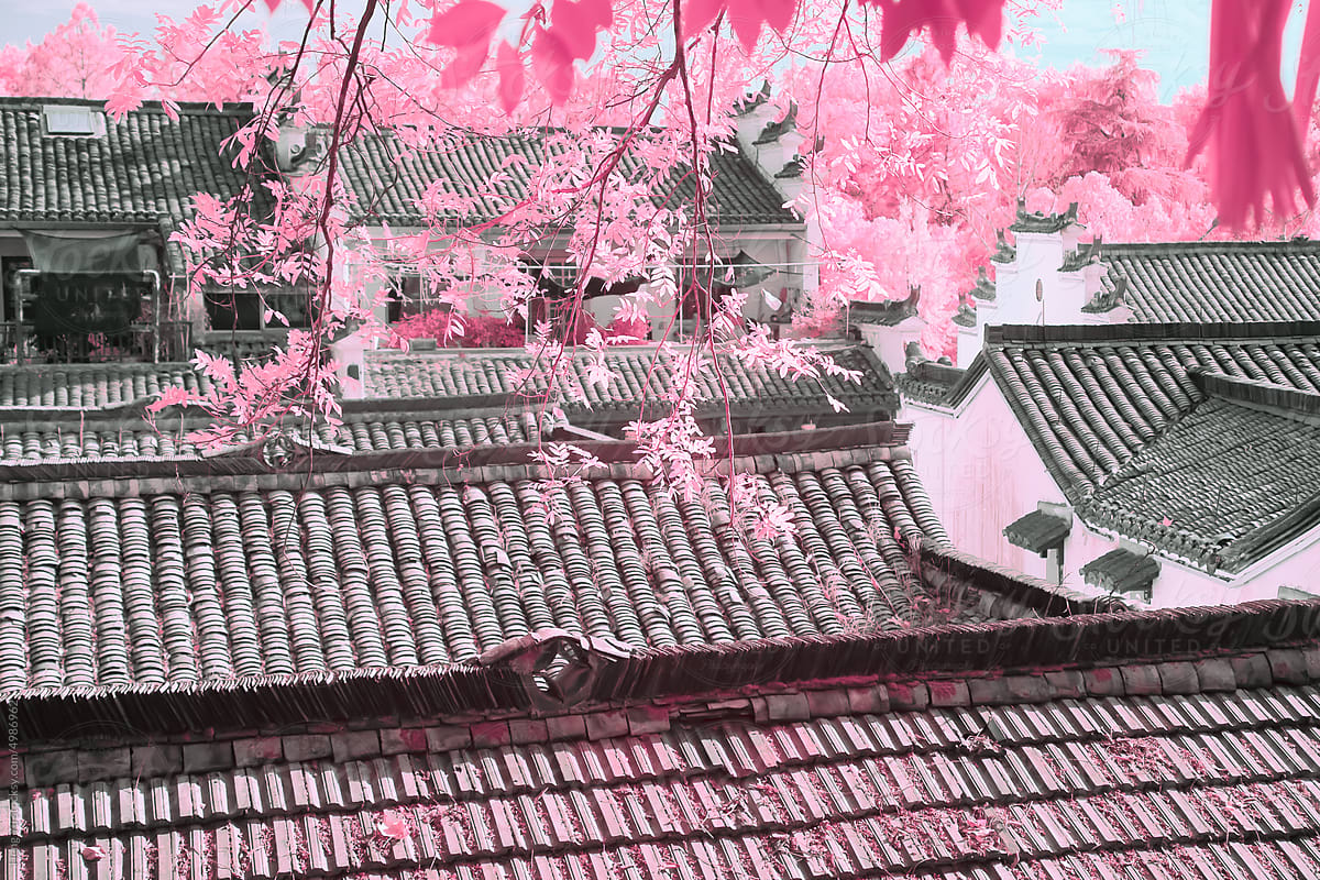 Infrared photography of  traditional Chinese buildings and plants