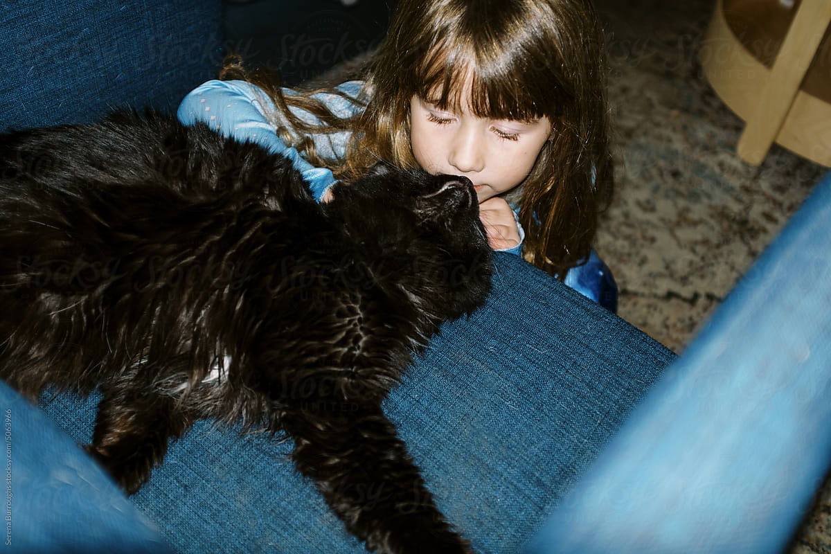 ugc of toddler girl petting black cat