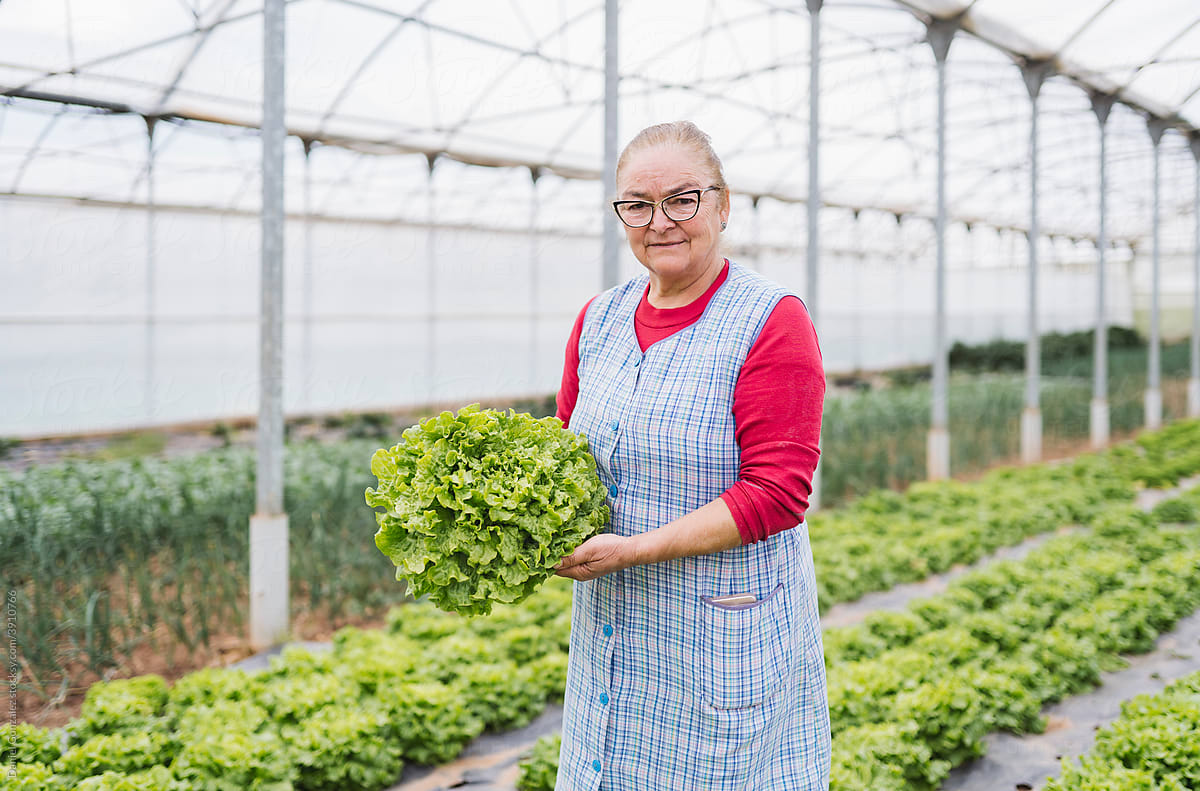 A senior woman farmer in a greenhouse