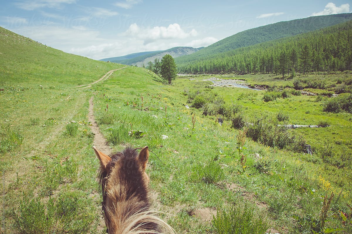 Horse and Countryside