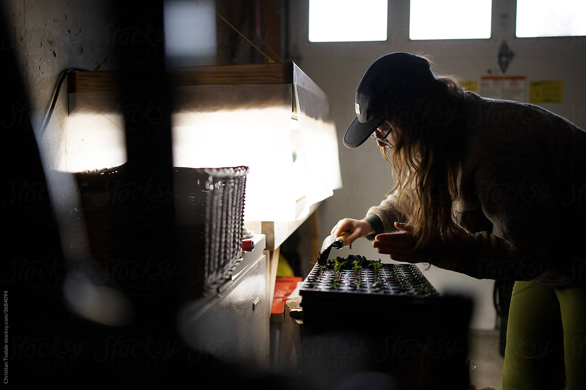 A young woman planting seeds in a plastic container to be grown under lights in a garage