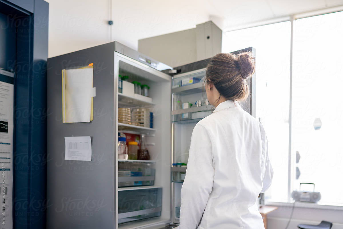 Woman Looking At Open Refrigerator In The Lab