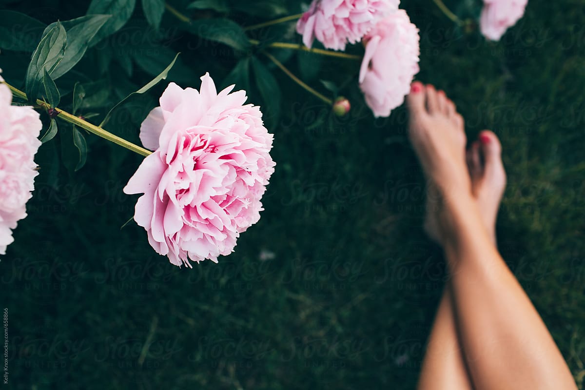 Overhead Of A Peony Bush And A Womans Legs By Kelly Knox 
