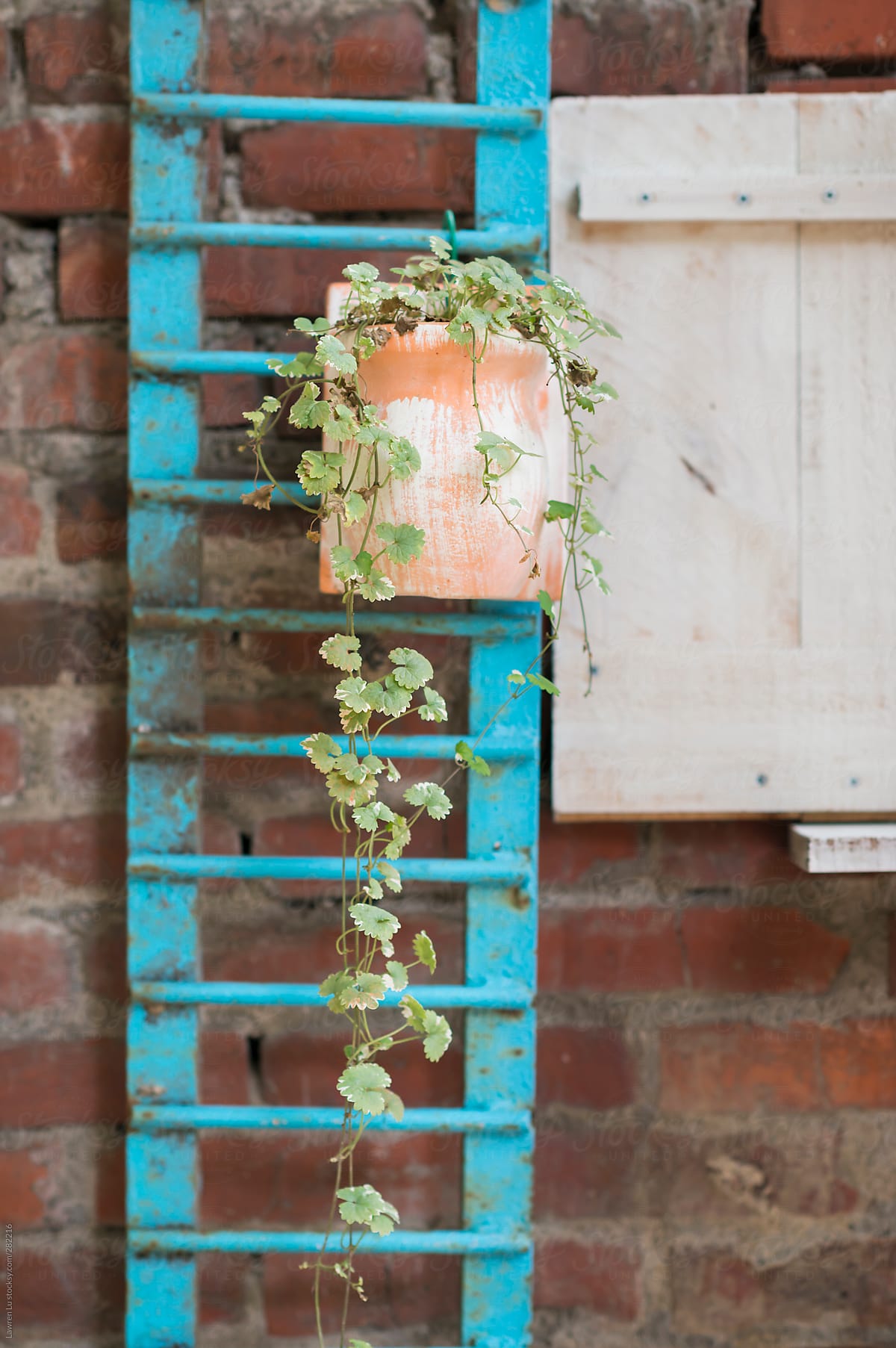 A potted plant hanging on blue vertical stairs in front of brick wall