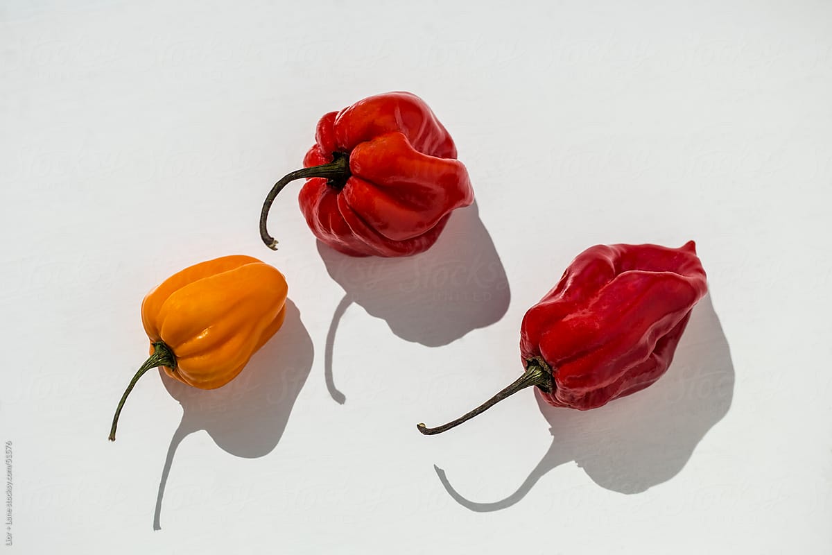 Three habanero chilies with strong shadow on white surface