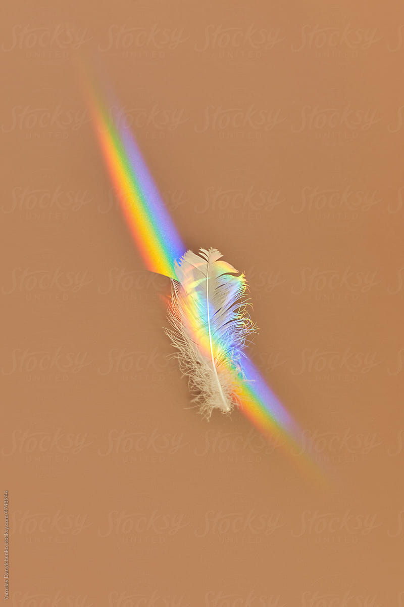 White feather with rainbow spectrum.