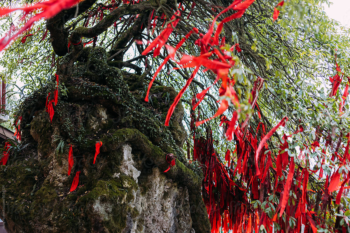 a tree with red ribbons