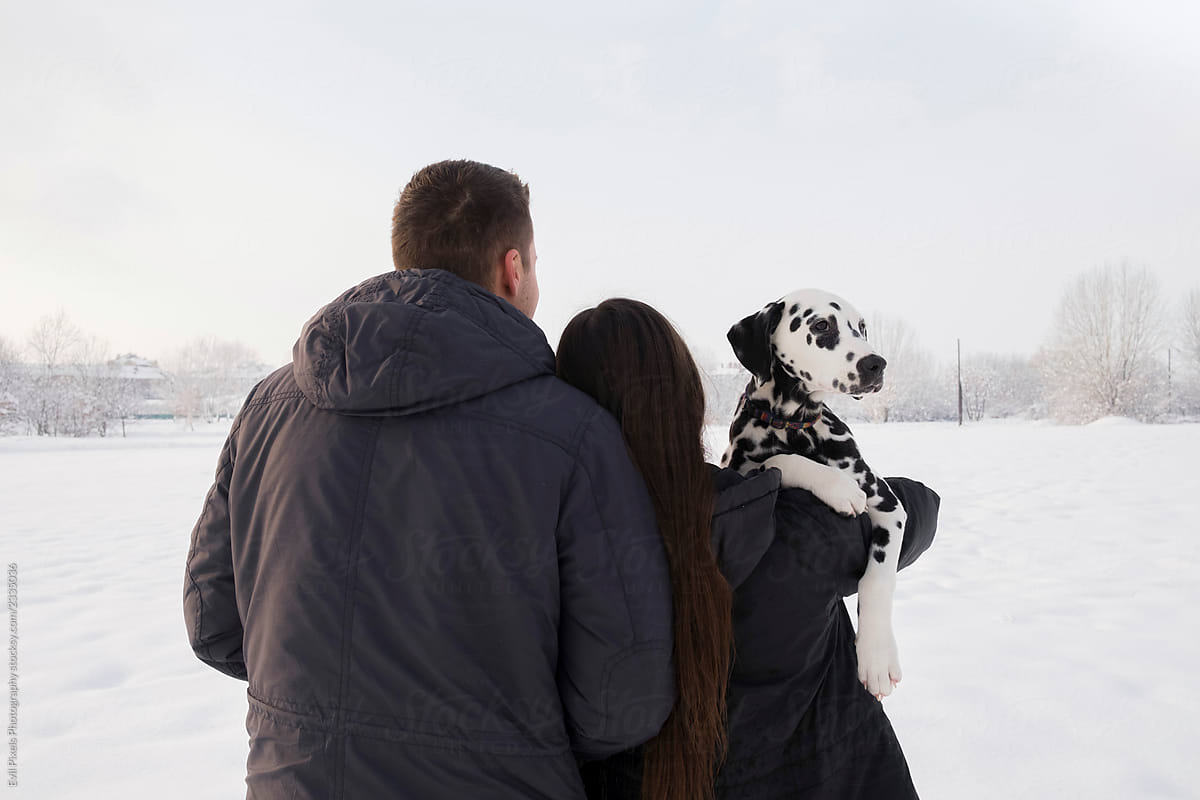 Anonymous young couple with dalmatian dog on the snow from back