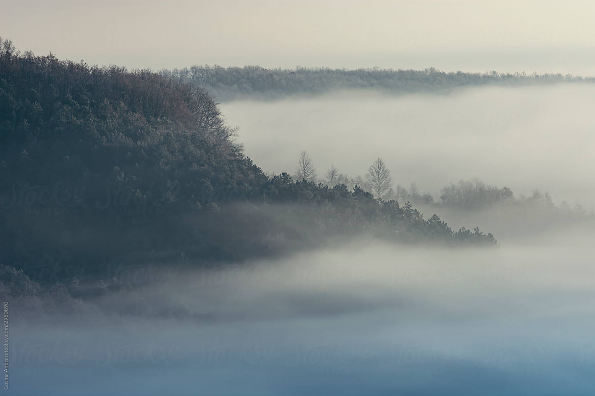 Misty winter landscape in the morning
