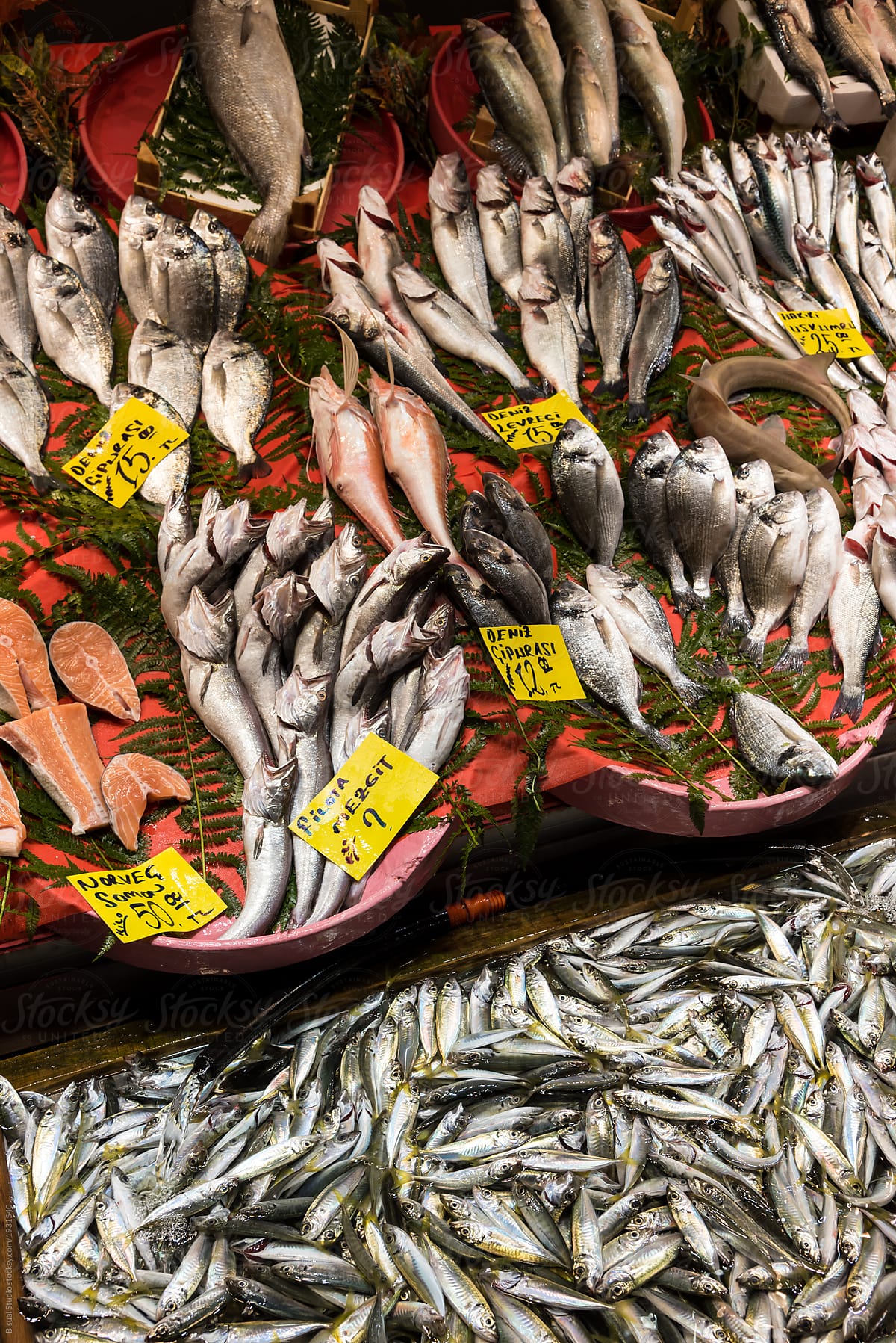 Piles of fish on the market