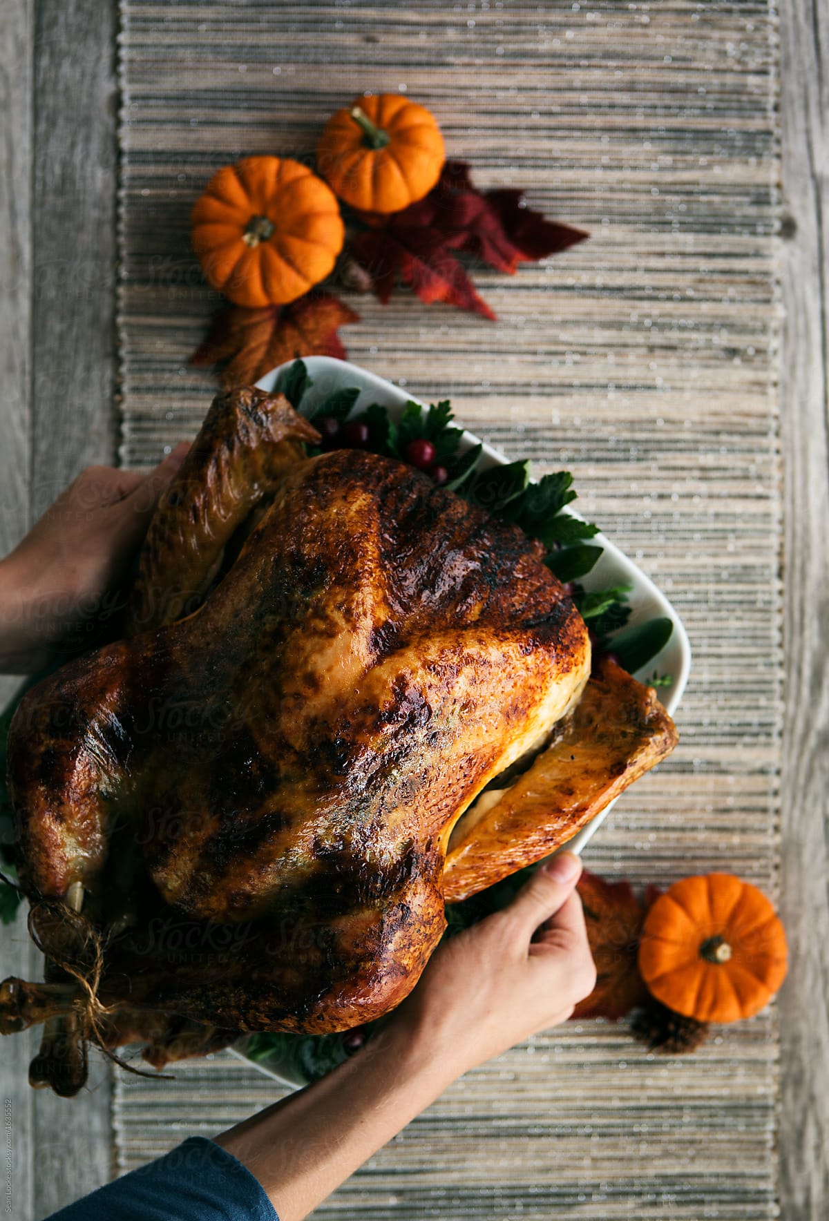 Thanksgiving: Woman Puts Roasted Turkey Platter Onto Table
