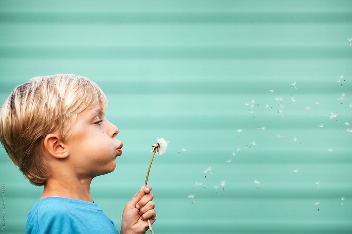 child blowing dandelion seeds in front of an aqua wall