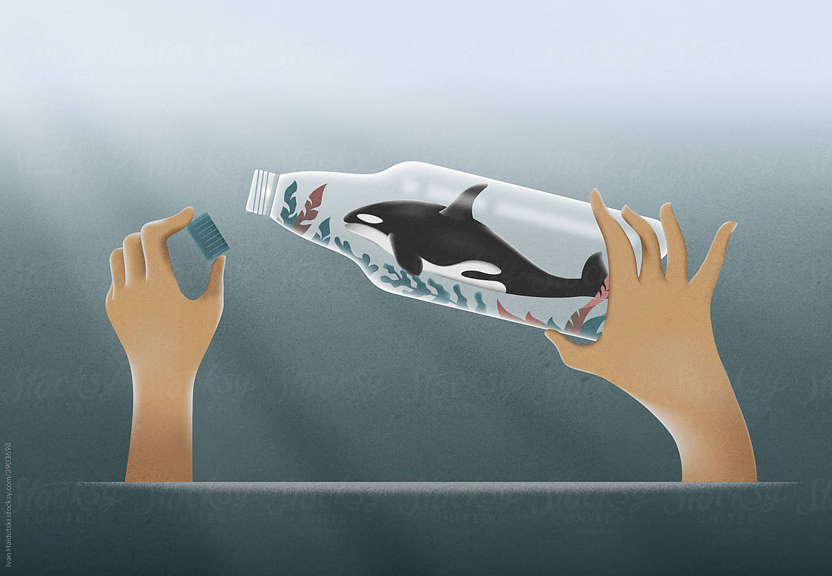 Woman unscrew lid off plastic bottle with killer whale