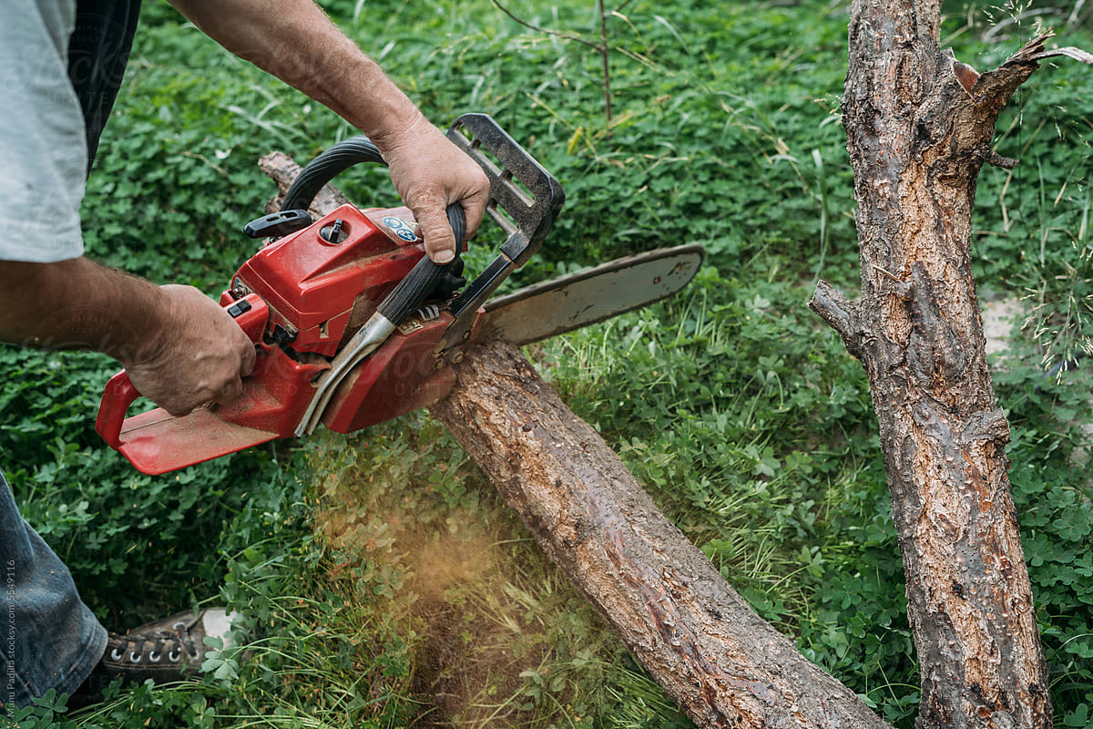 Unrecognizable man cutting tree branch with chainsaw
