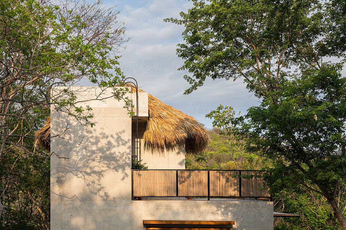 A concrete beach house with in a jungle