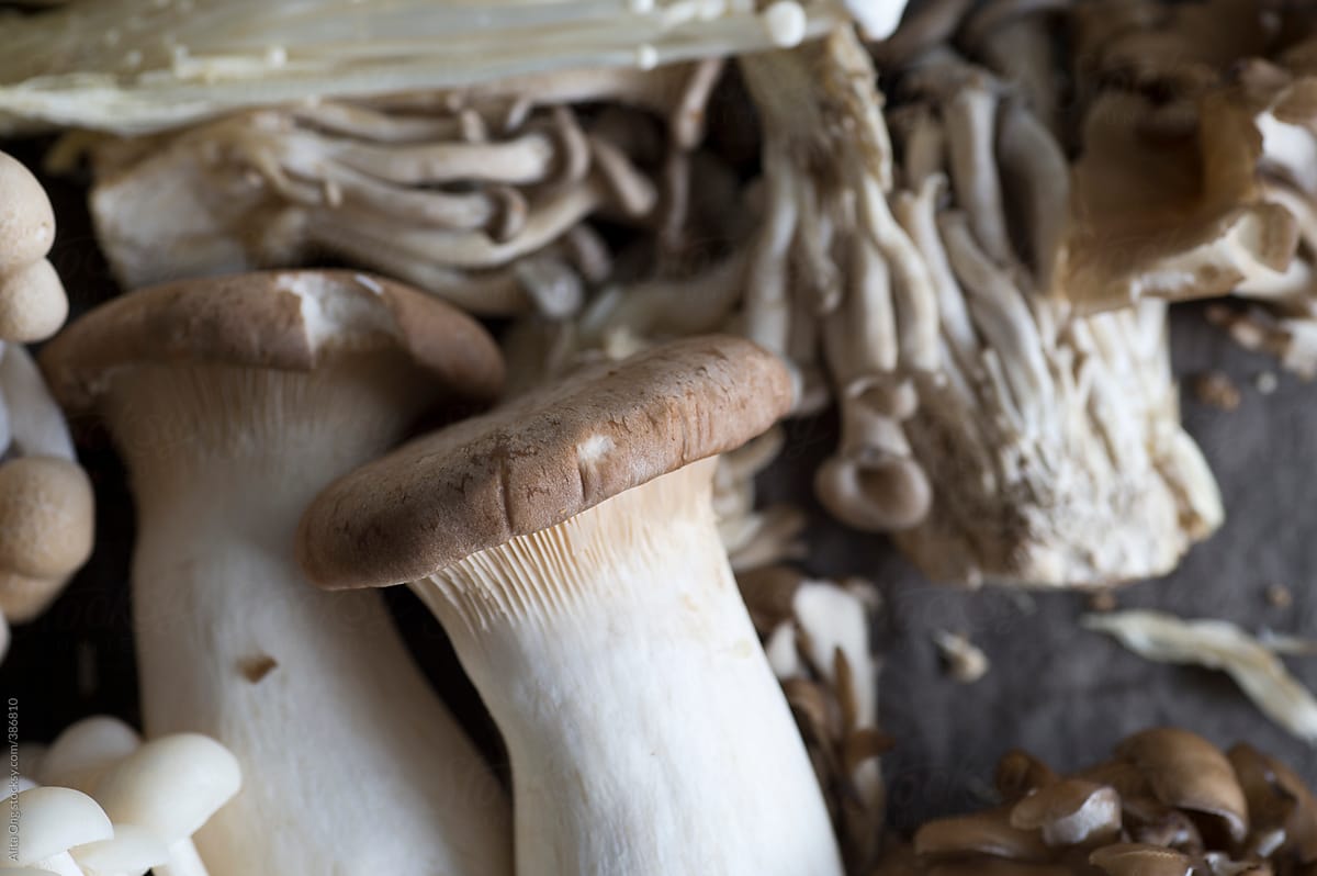 Close up of king oyster mushroom