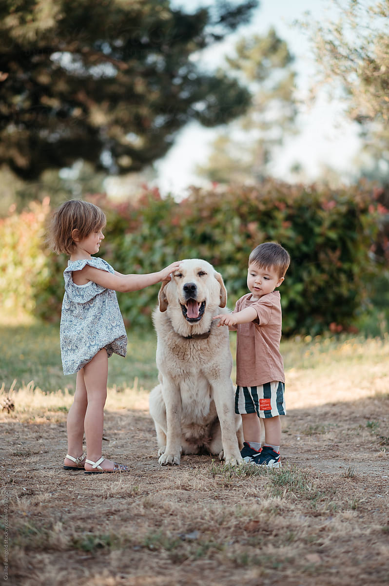 Kids caressing kind dog