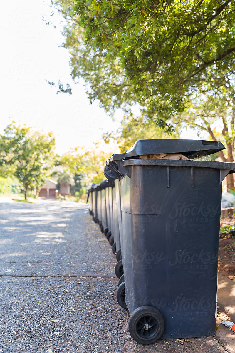 A long row of trash cans awaiting pickup on paved road