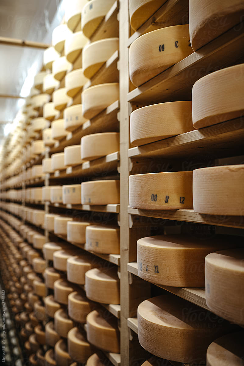 Cheese aging in a cellar on wooden racks