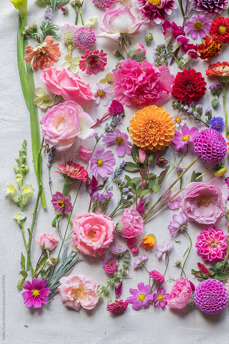 vibrant flat lay of flowers