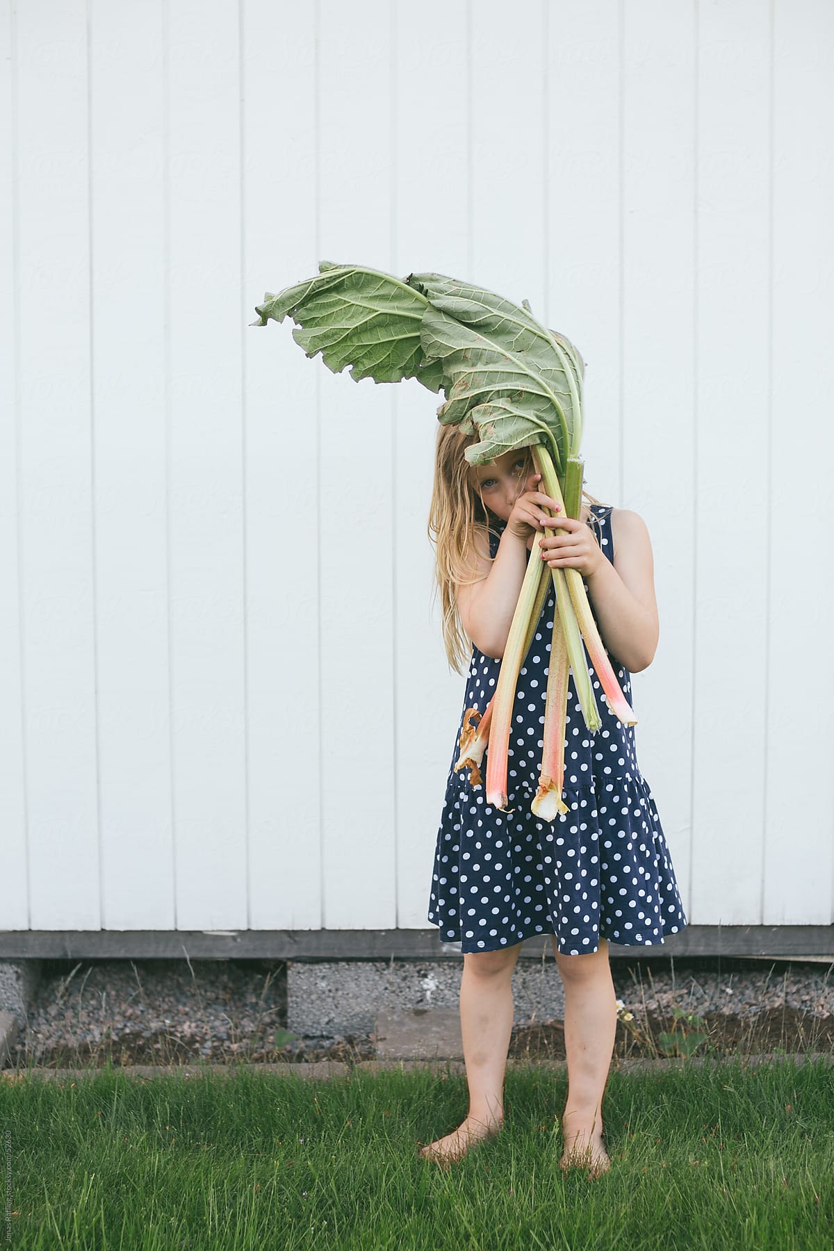 Barefoot Girl In Dotted Dress Holding Rhubarb In Her Hands By Stocksy Contributor Jonas