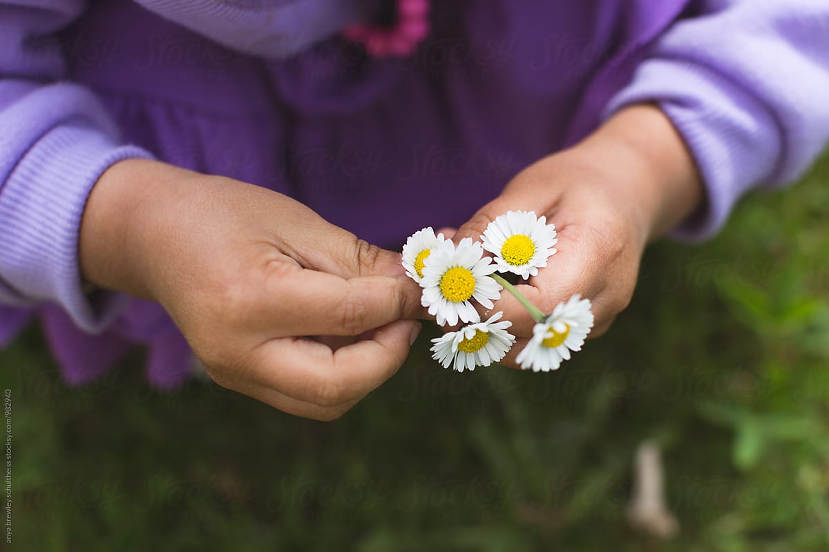 A young girl holding a bundle of daisies