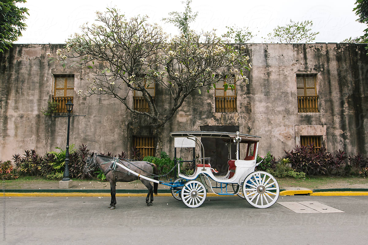 A white horse-drawn carriage parked in front of a Spanish colonial period wall with wooden windows