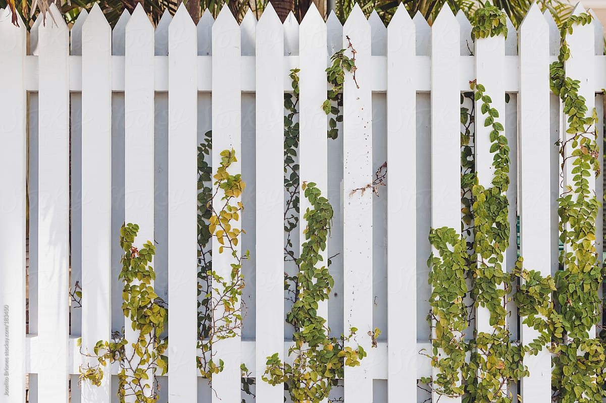 White Picket Fences with Flowers in Spring as Background Pattern for Suburban and Rural Lifestyle