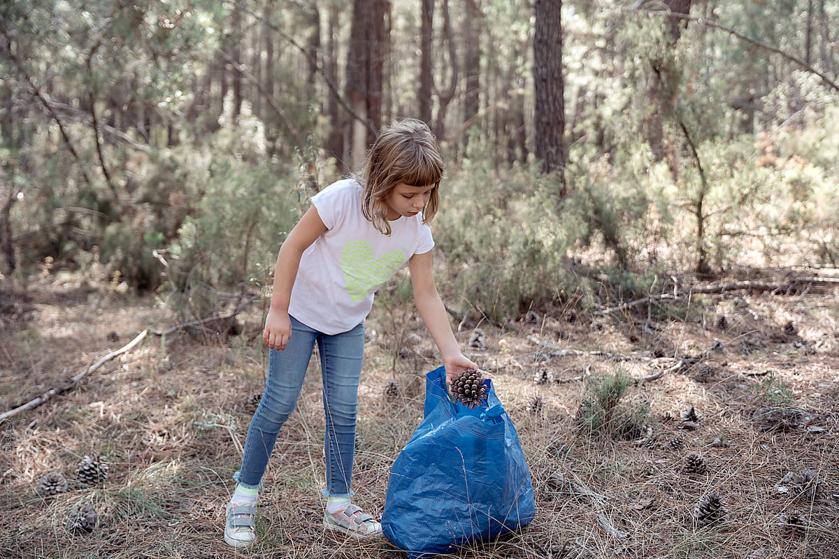 Girl picking up pine cones with a bag in the forest