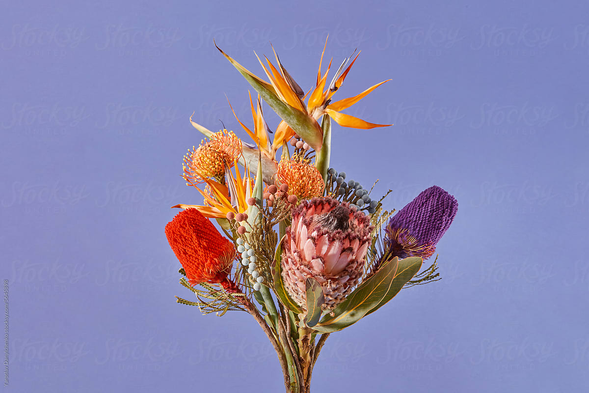 Exotic bouquet of various colorful flowers over violet background
