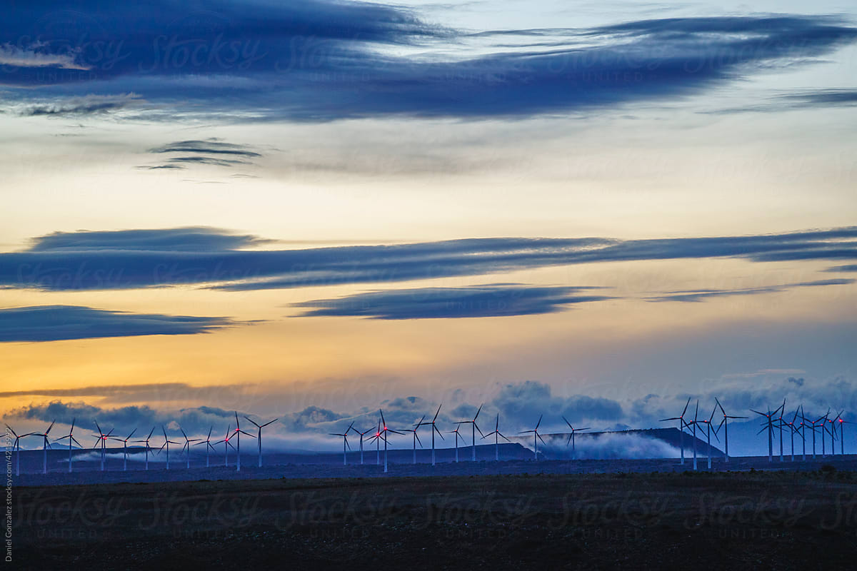 Windmills at dusk