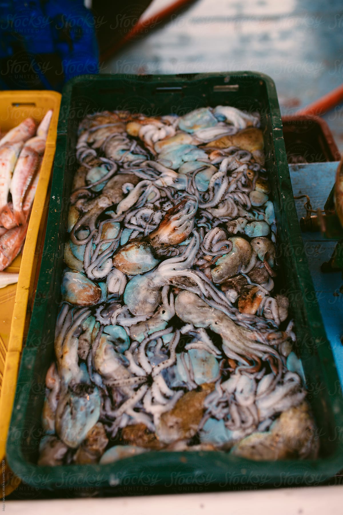 Sea food market