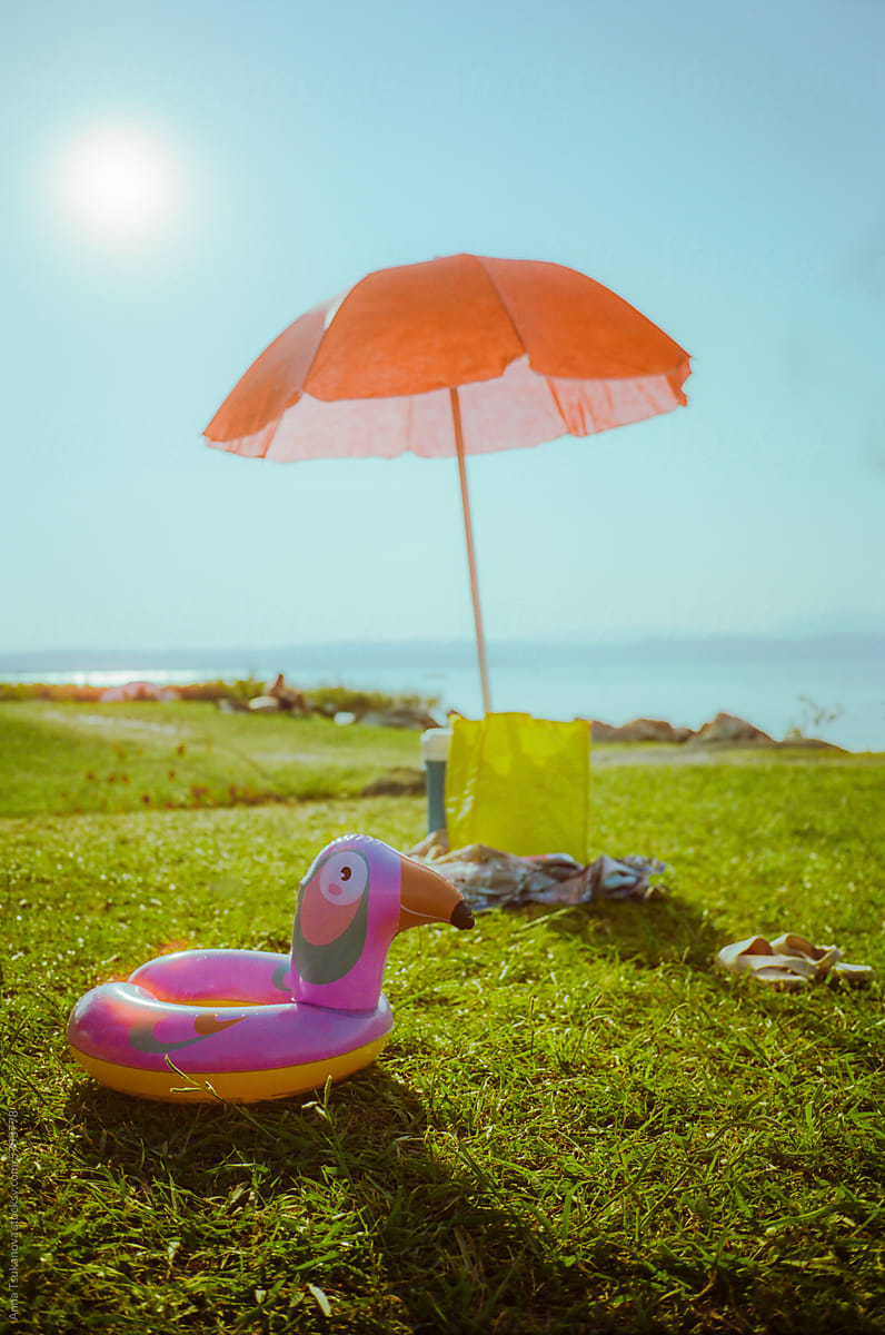 Inflatable ring shaped like a bird and umbrella on grass beach