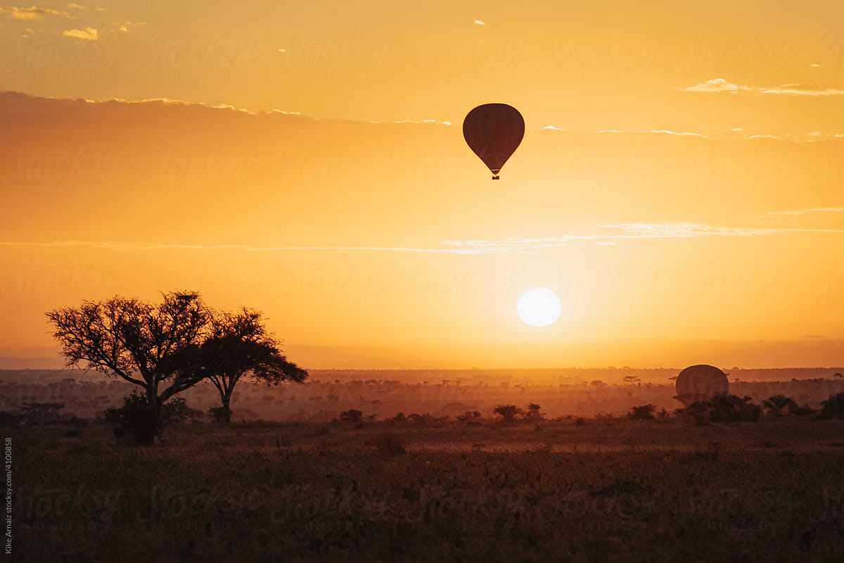 Hot air balloon silhouette