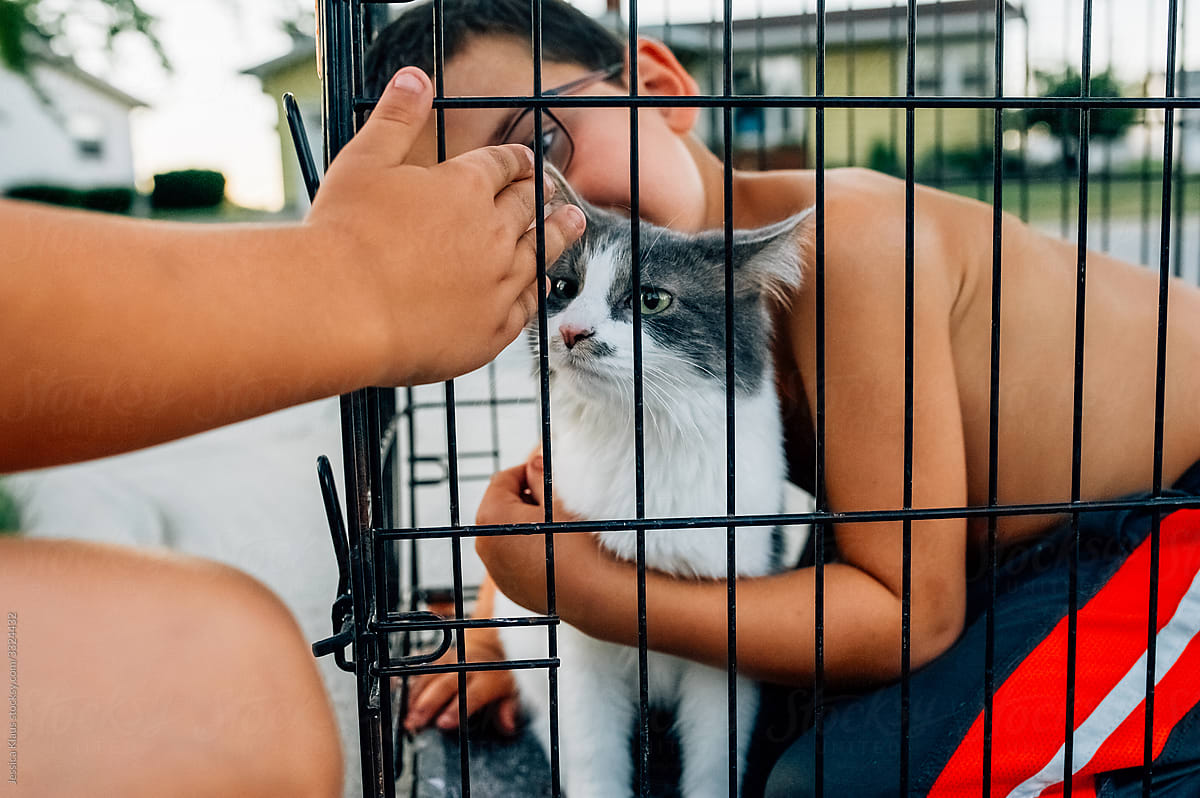 Children playing with cat inside of dog cage.