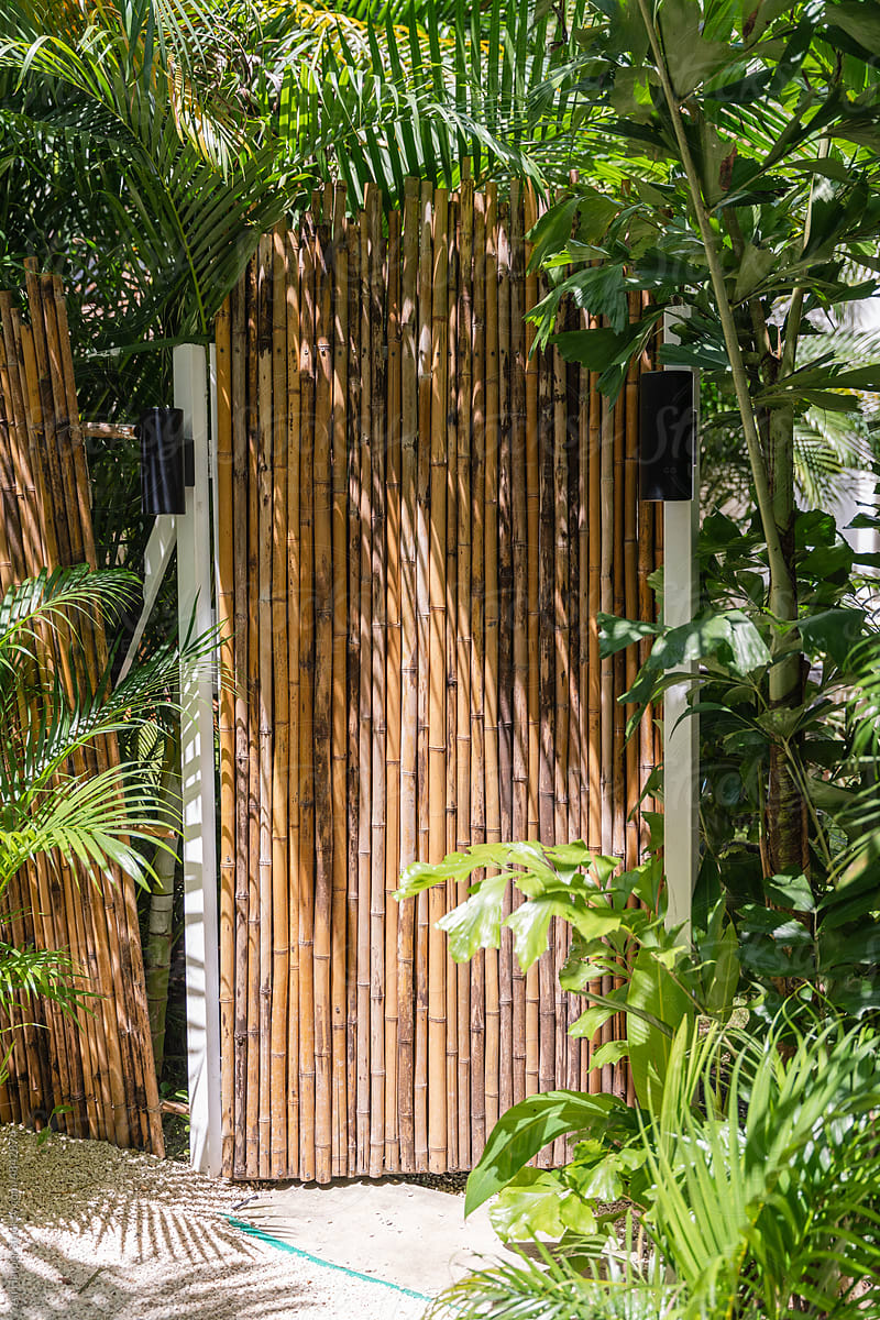 Bamboo doorway