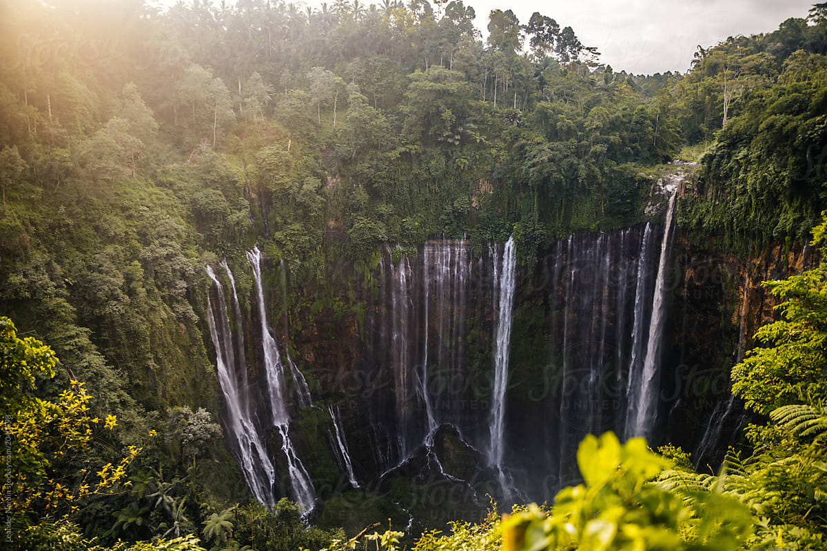 hidden waterfall in green lush jungle at sunset