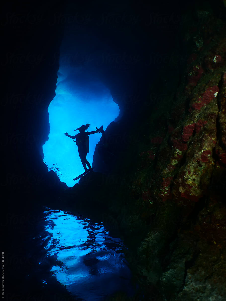 upside down scenery of underwater