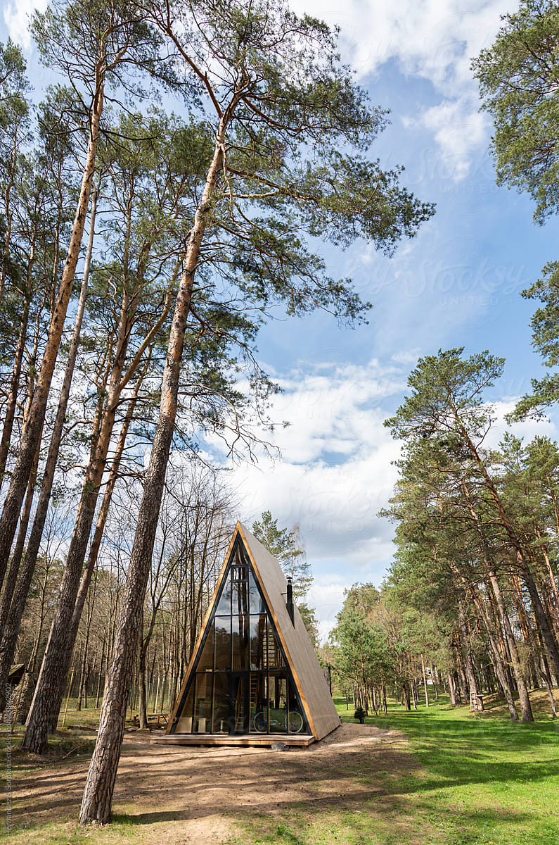 Modern Summer House In The Woods