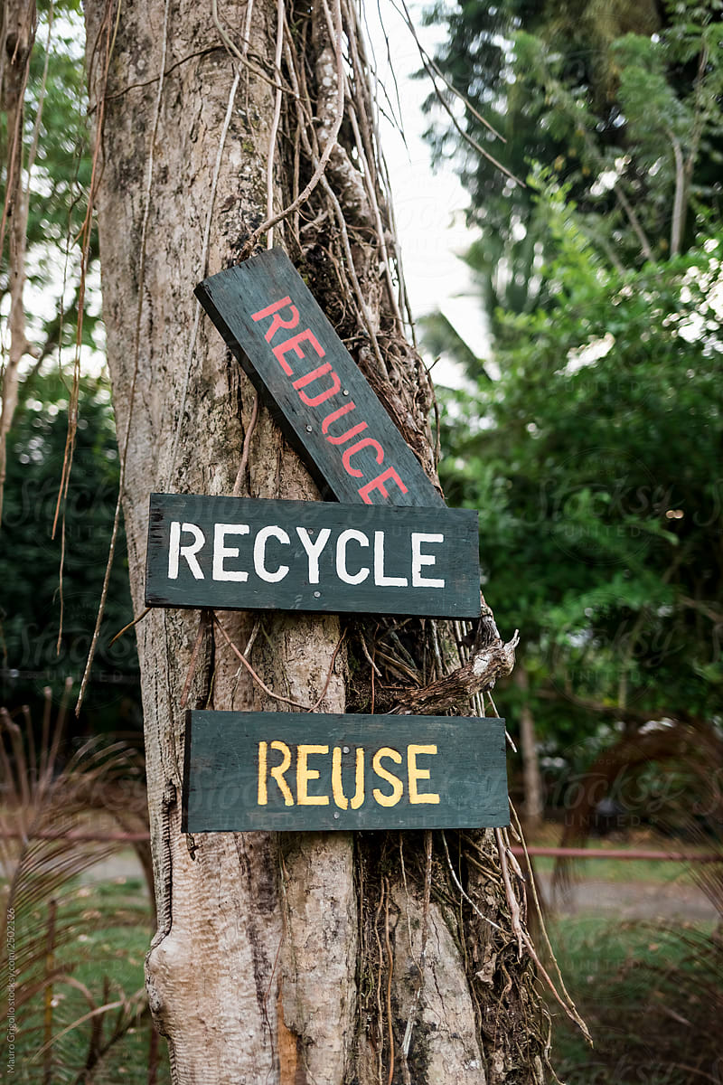Recycle and reuse sign in a park