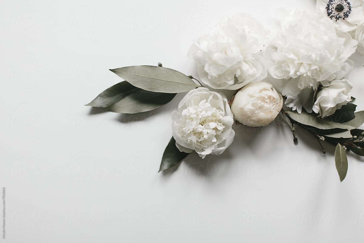 White flowers arranged on white background