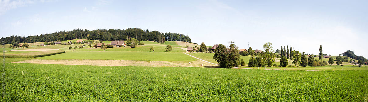 Green Swiss Farmland