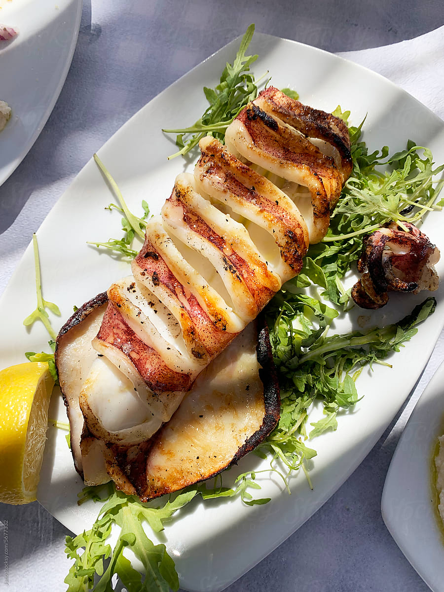 Fresh Greek Calamari Dish