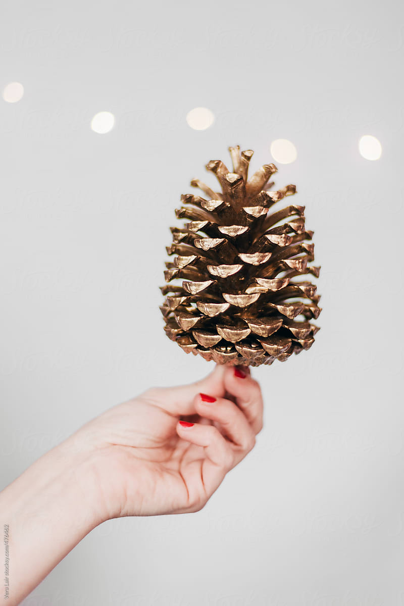 Hand holding a golden pine cone