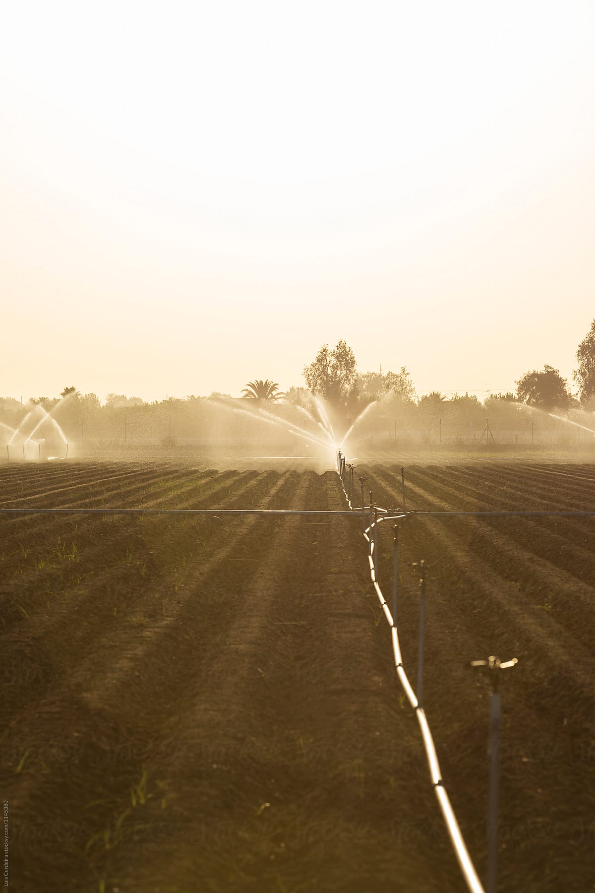 Irrigation system on a farmland at dawn