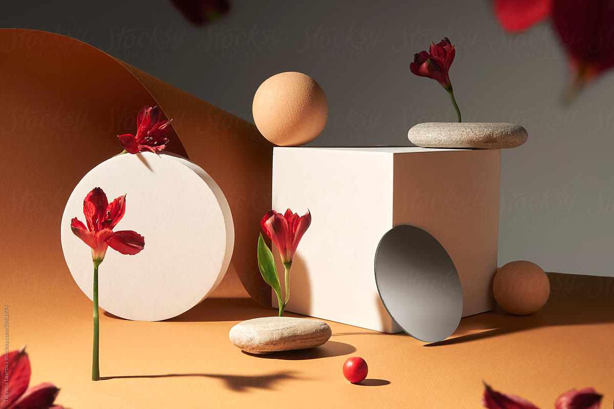 Abstract still life with geometric shapes, stones and red flowers