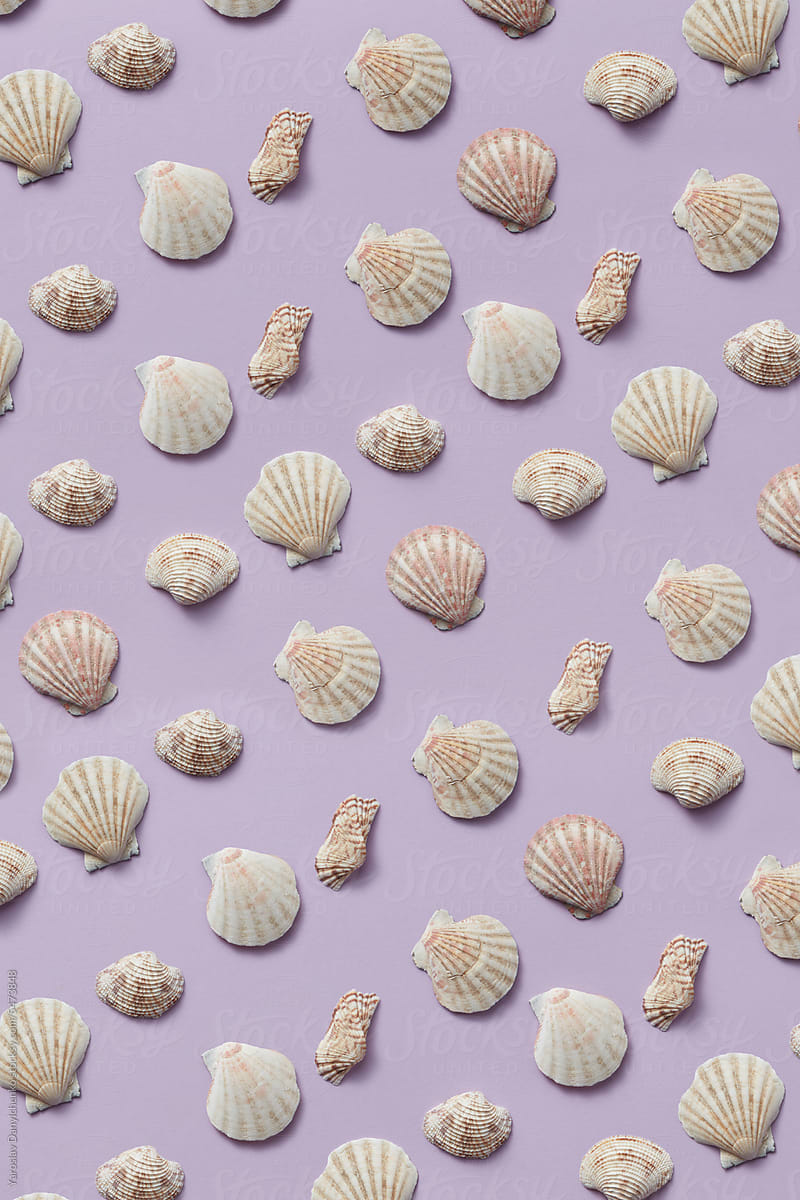 Beautiful sea shells pattern on lilac background.