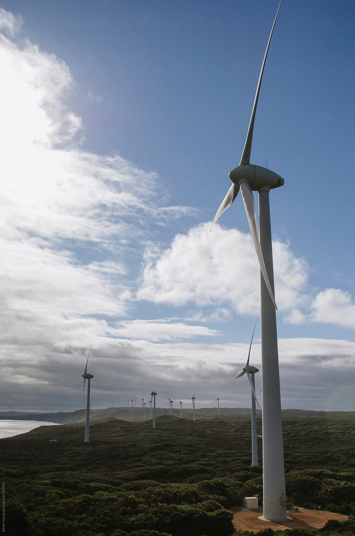 Wind Turbines on a Wind Farm